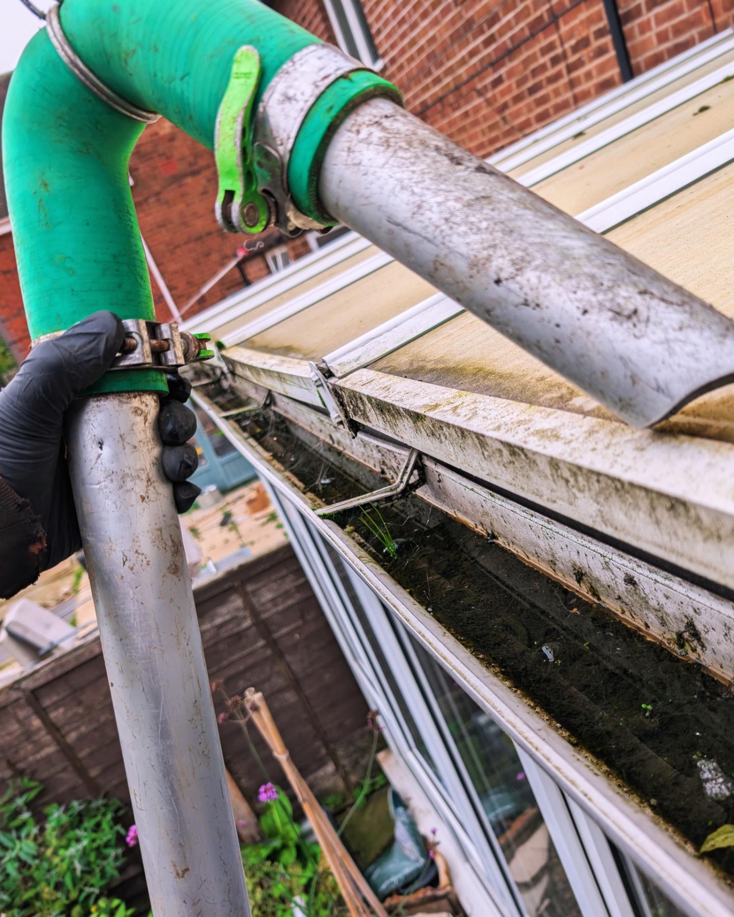 IMG_20241021_222219_974