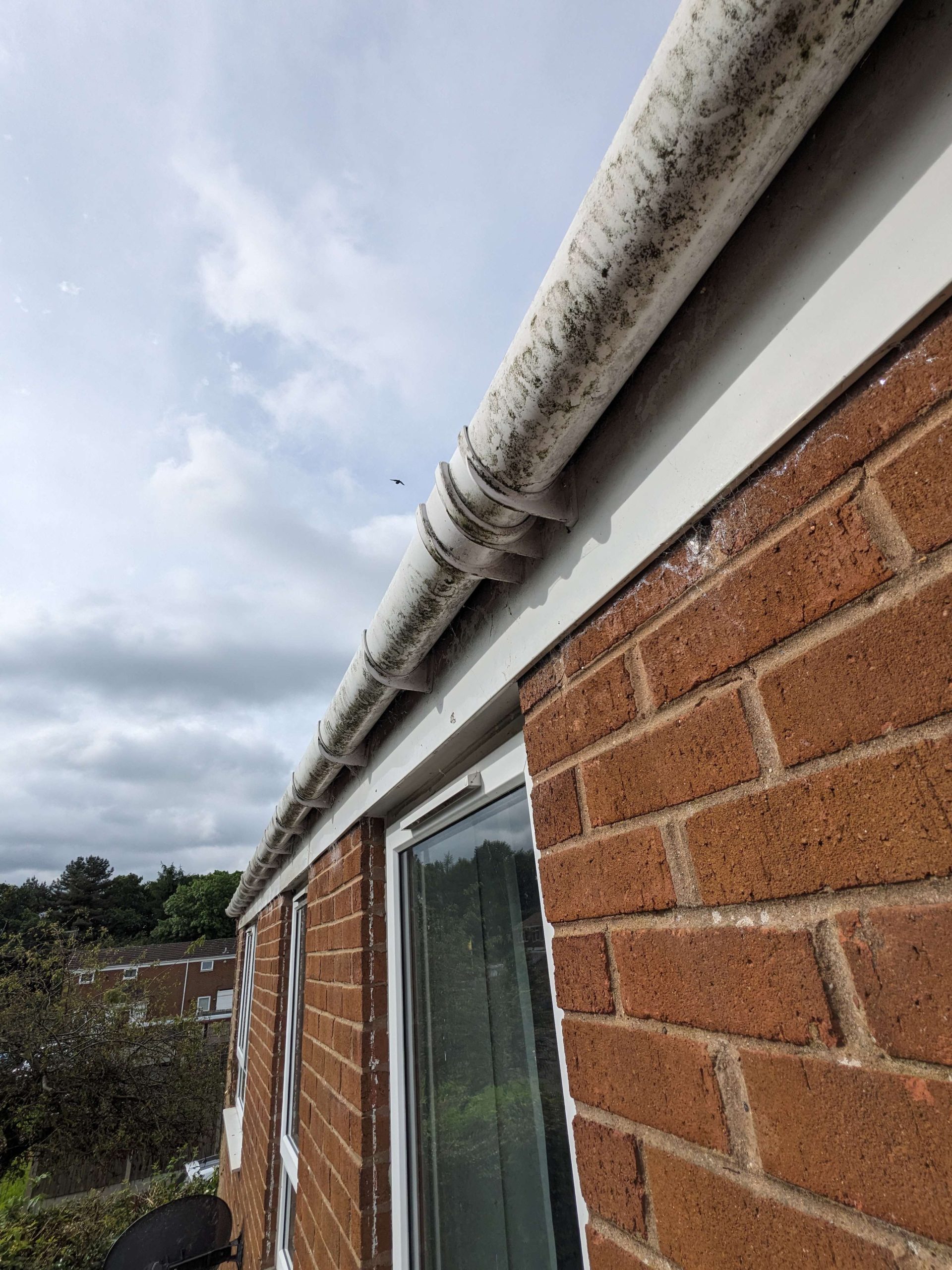 PXL_20240603_075406371