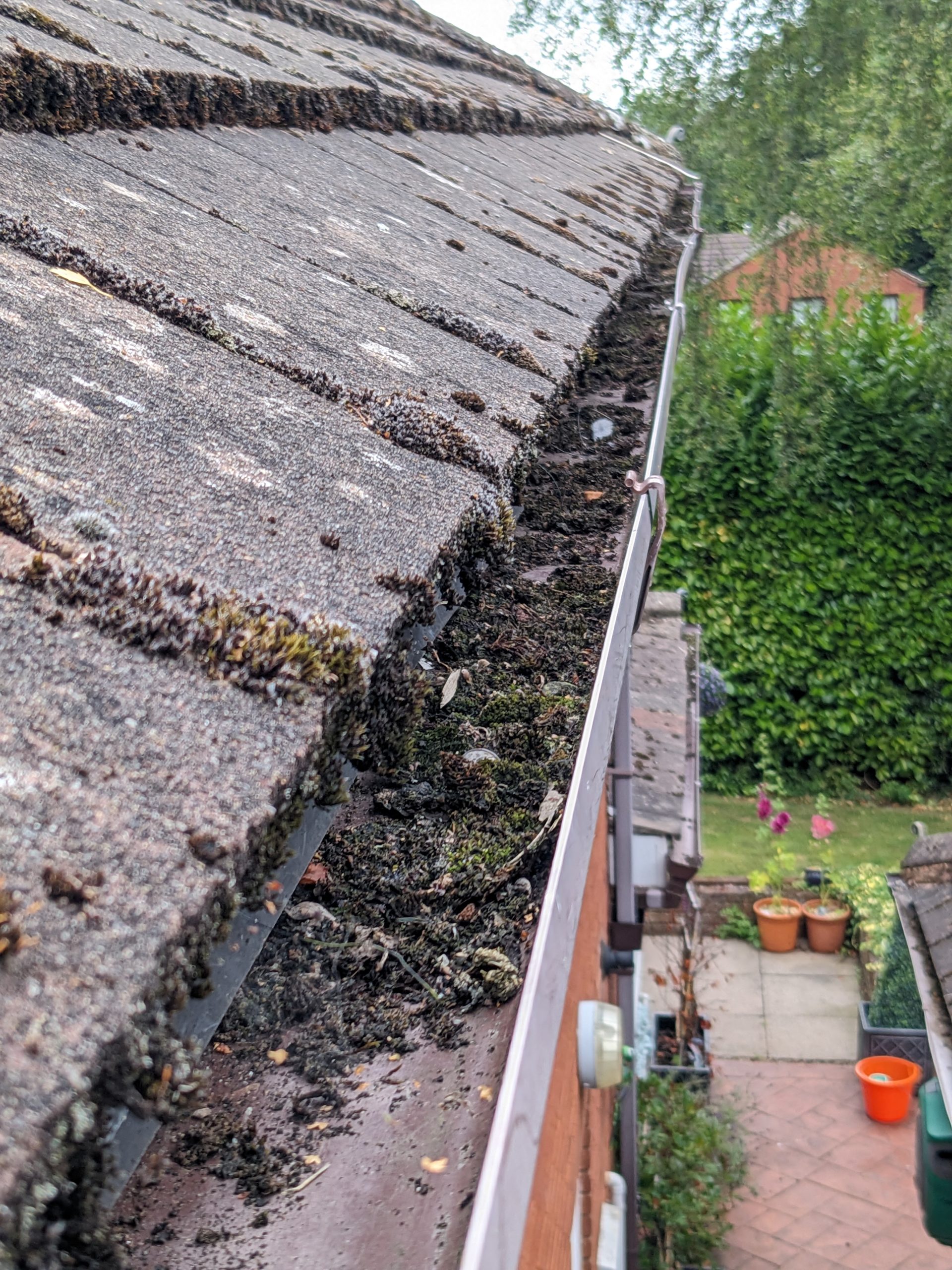 PXL_20240805_111348607