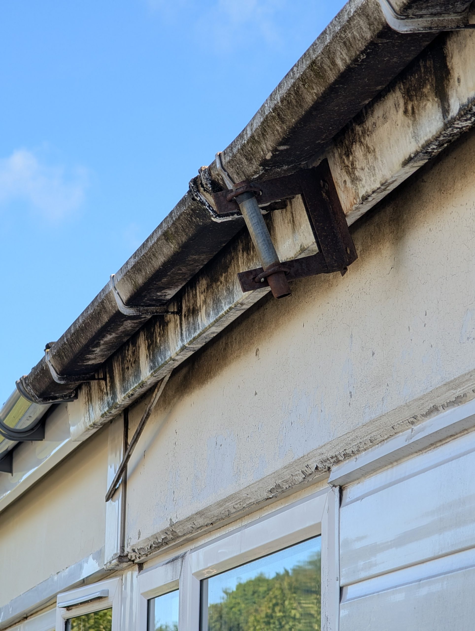 PXL_20240916_095226138