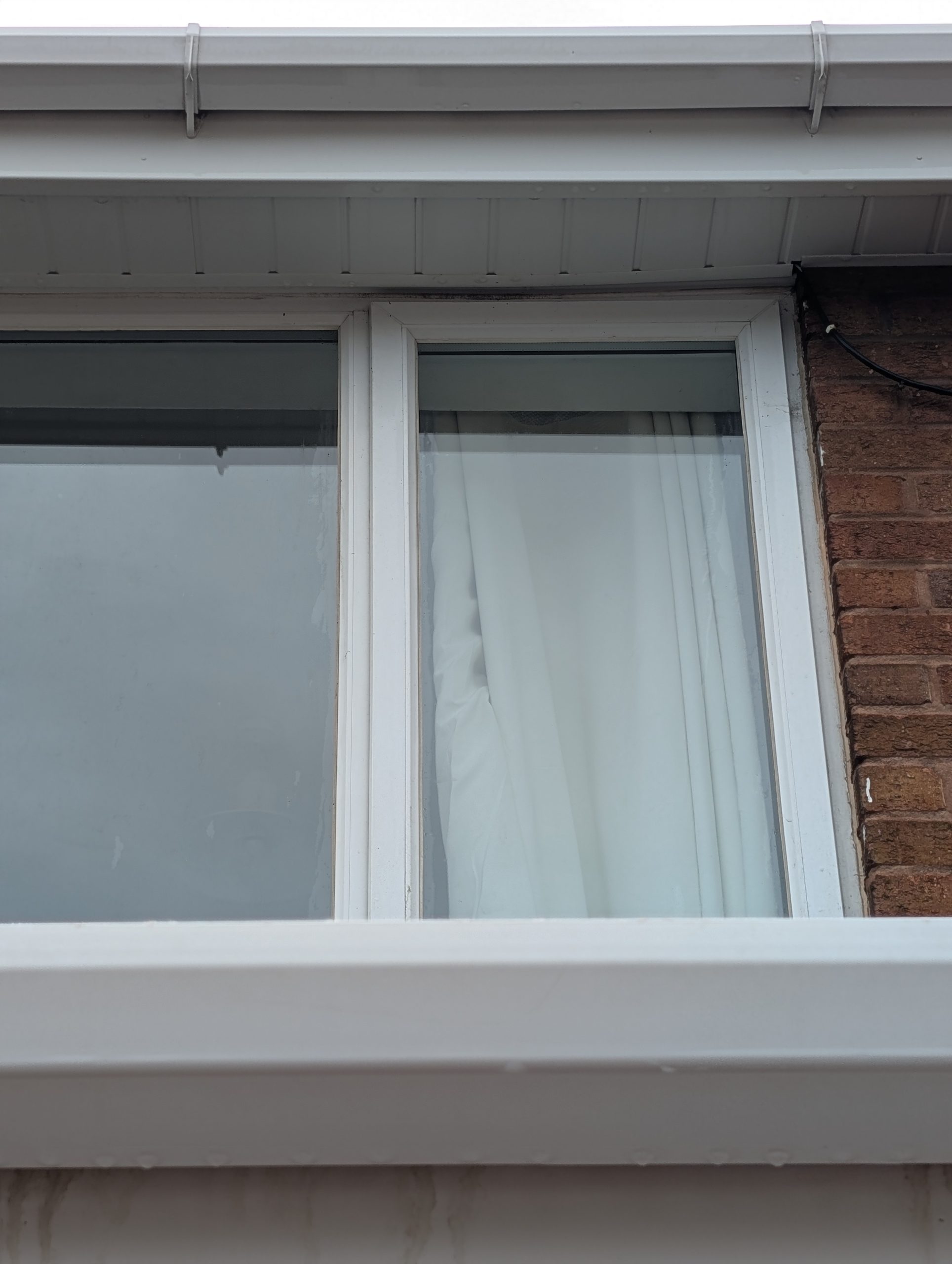 PXL_20240925_104942131